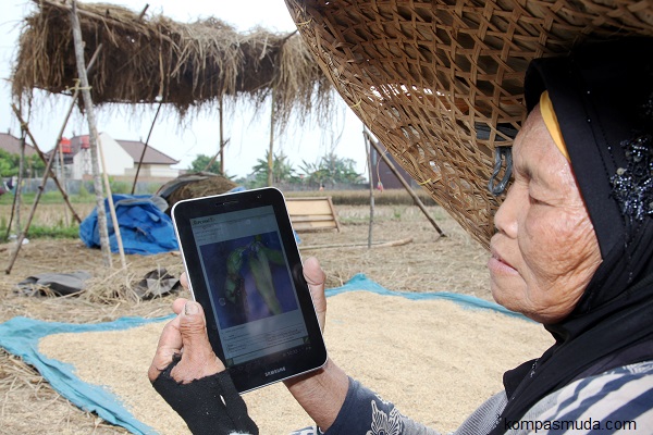 Aplikasi Android Petani telah Digunakan 115 Ribu Petani